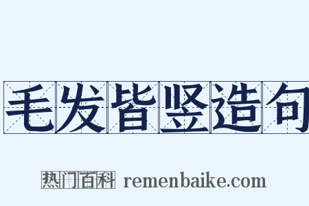 毛发皆竖造句是什么意思的图片